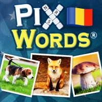 PixWords™